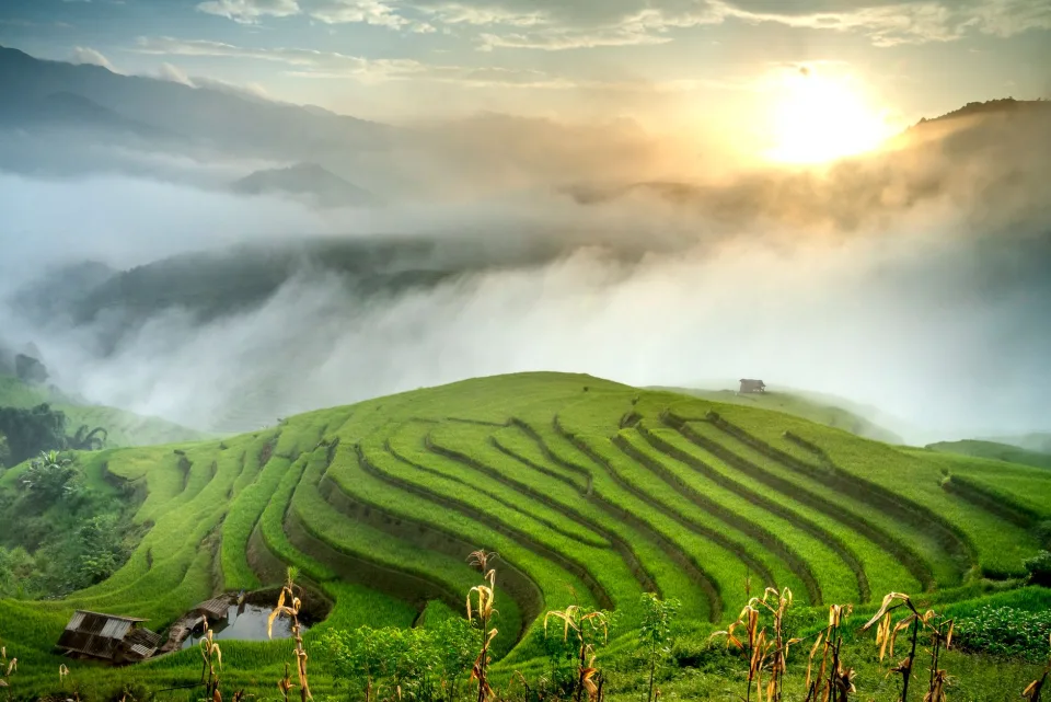 Kho gạo của Phạm Lê Anh